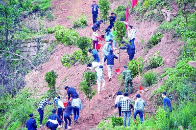 春光里 遍植青绿满神州