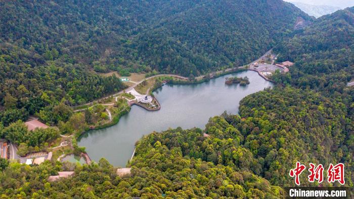 图为三百山生态清洁小流域三百山风景区。　张武军 摄