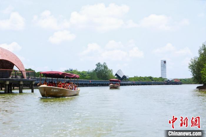 4月29日，海口红树林旅游区科普栈道开放。图为景区风景。　海口红树林旅游区供图