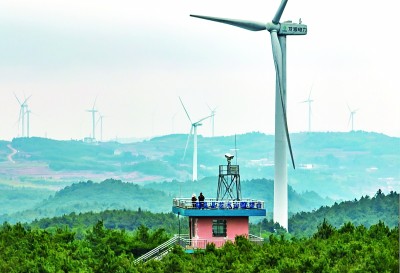 春光里 遍植青绿满神州