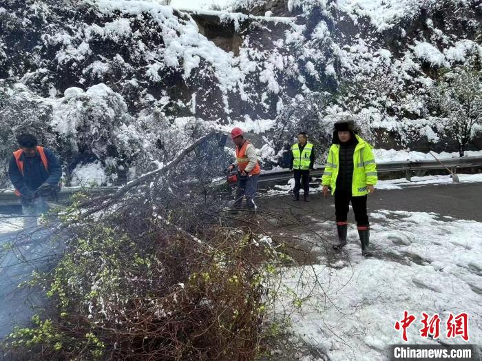 图为汾离路产维护站工作人员清理倾倒的树木。　闫飞飞 摄