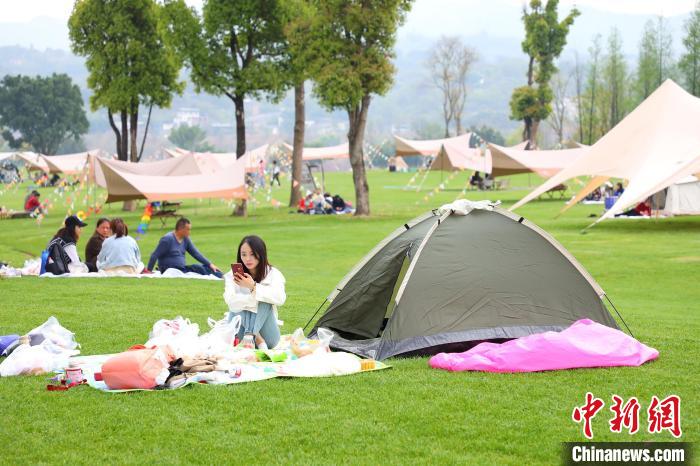 春日的广阳岛，吸引众多游客在此地露营。　梁钦卿 摄