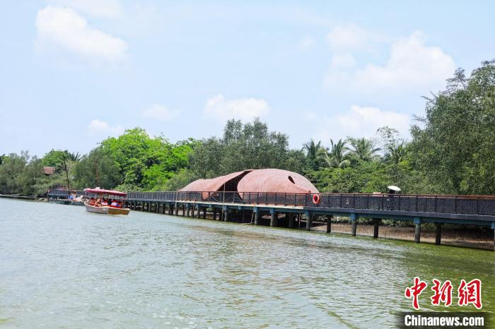 4月29日，海口红树林旅游区科普栈道开放。图为景区风景。　海口红树林旅游区供图