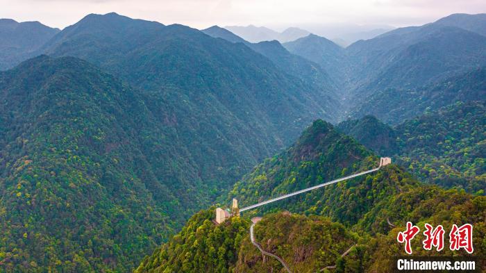 图为三百山生态清洁小流域三百山风景区的玻璃天桥。　张武军 摄