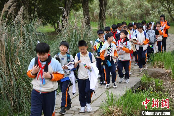 在老师带领下，小学生们在广阳岛上开展研学活动。　梁钦卿 摄