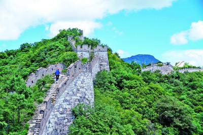 痴情守护文物 妙手再塑繁华——2022年全国文物行业职业技能大赛走笔