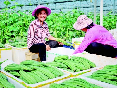 共绘宜居宜业和美乡村新画卷——江西寻乌巩固拓展脱贫攻坚成果同乡村振兴有效衔接的实践