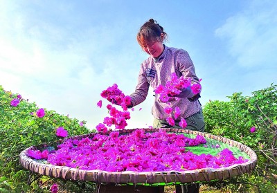 弹性工作制 为年轻妈妈解忧