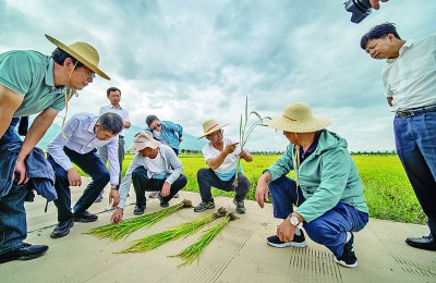 让知识在田间变为生产力