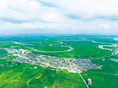 唤醒盐碱地 建设大粮仓