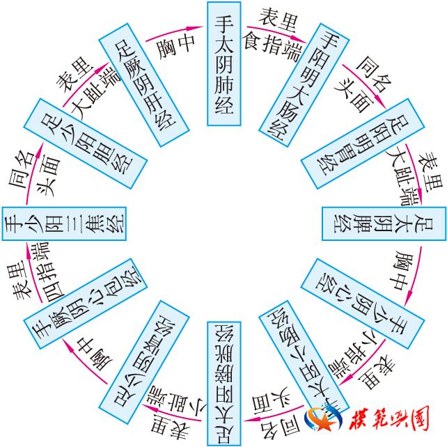 十二經氣血流注環周圖十二經脈中各經氣血多少均有其常數.