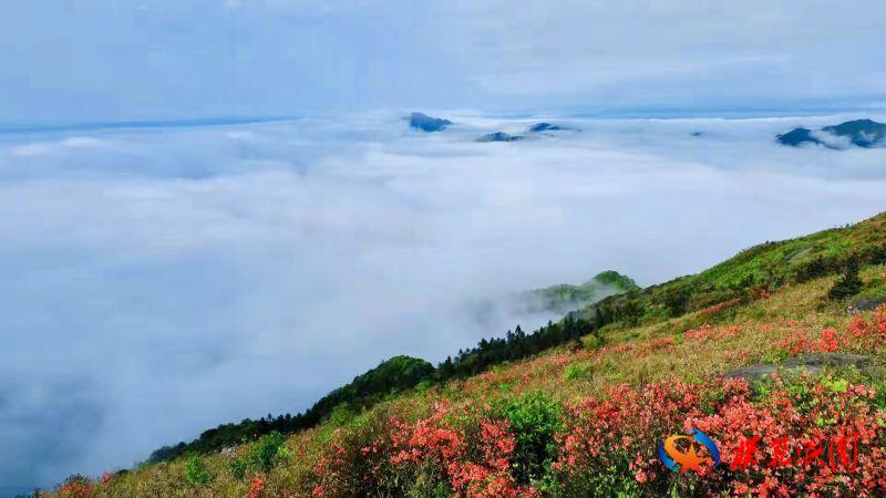 大乌山的传说④:大乌山仙女献花与仙女瀑布