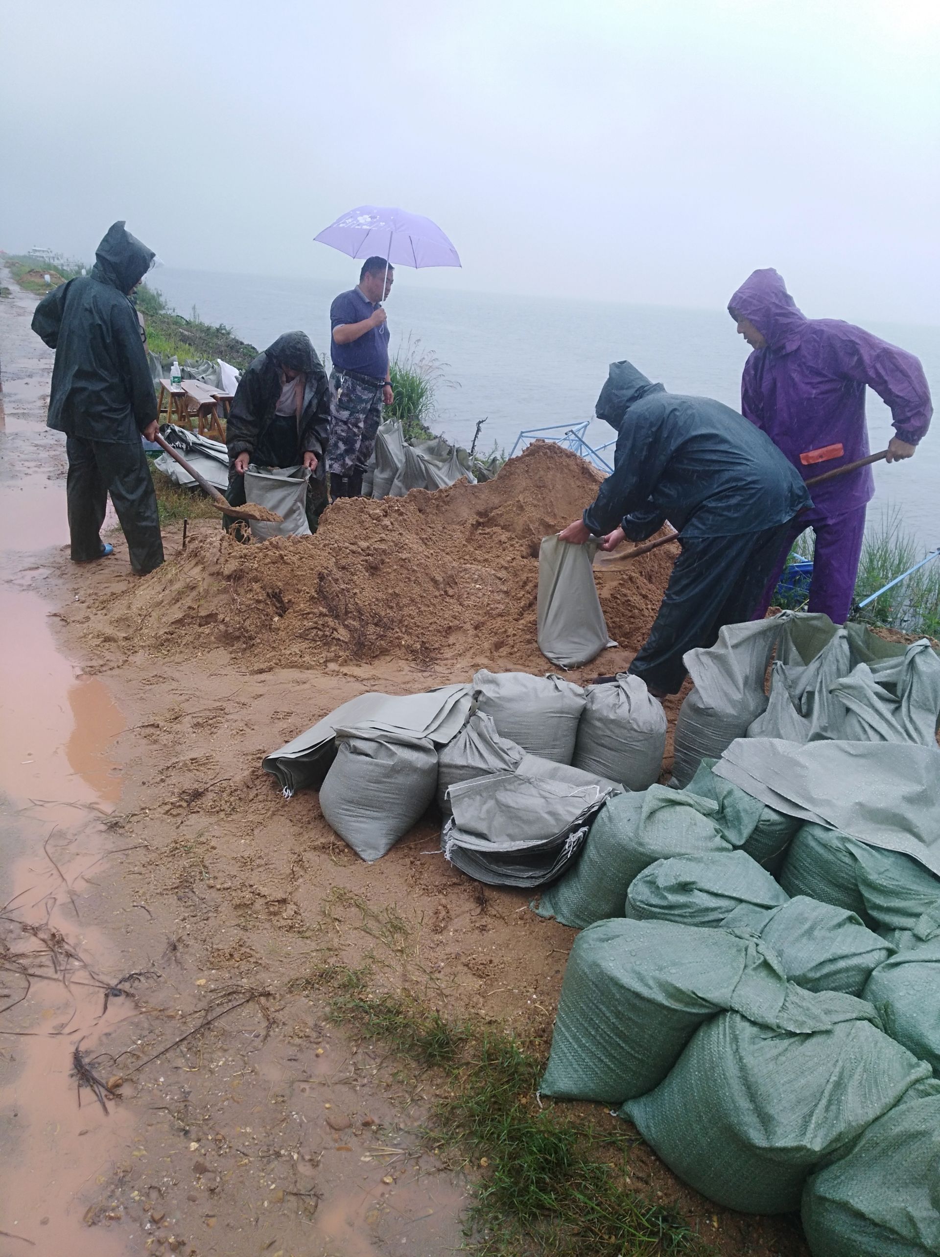 雨中英雄周溪枭阳圩堤防汛人员冒雨装沙袋压坡固堤