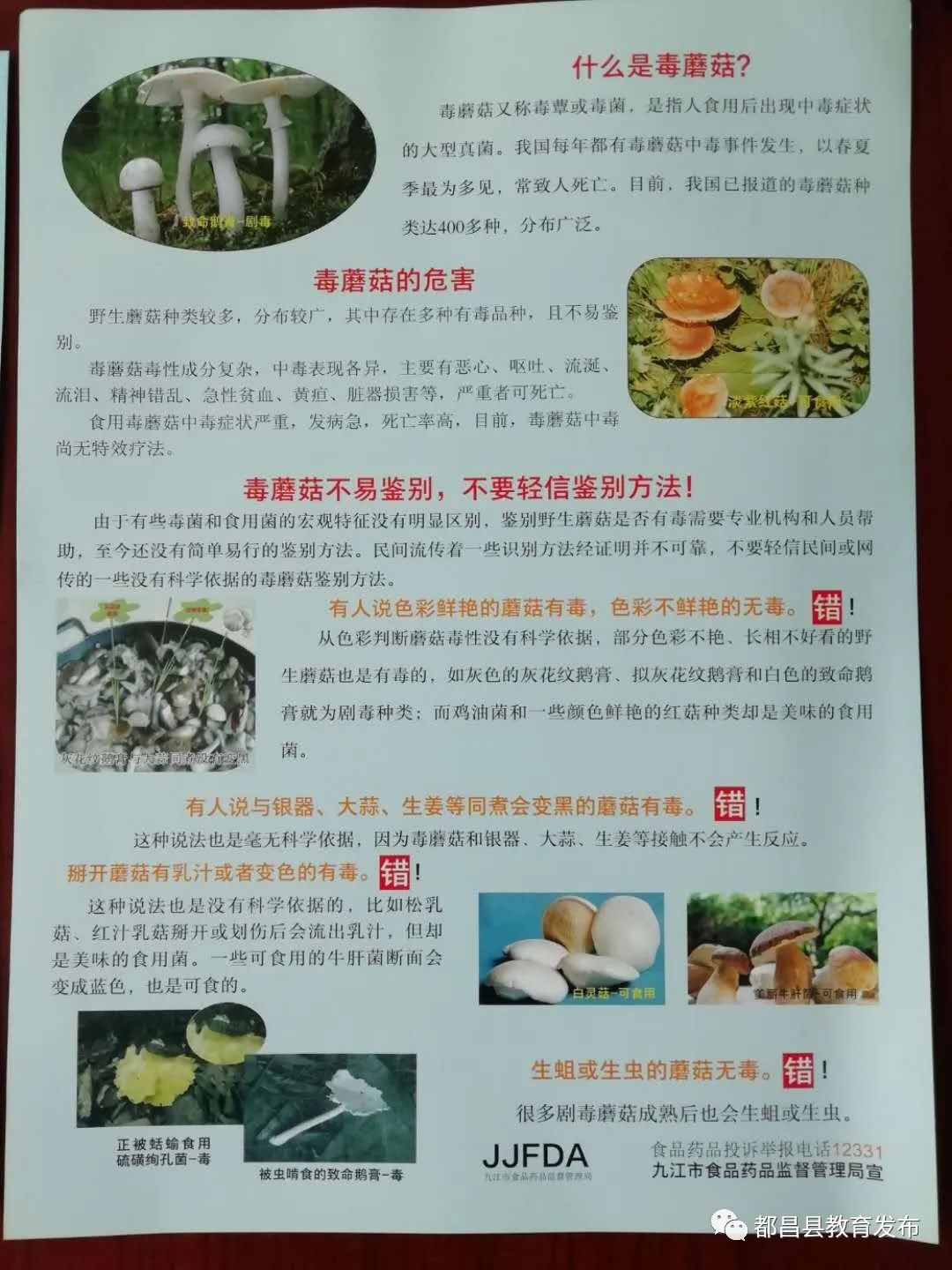 禁食野生菌宣传标语图片