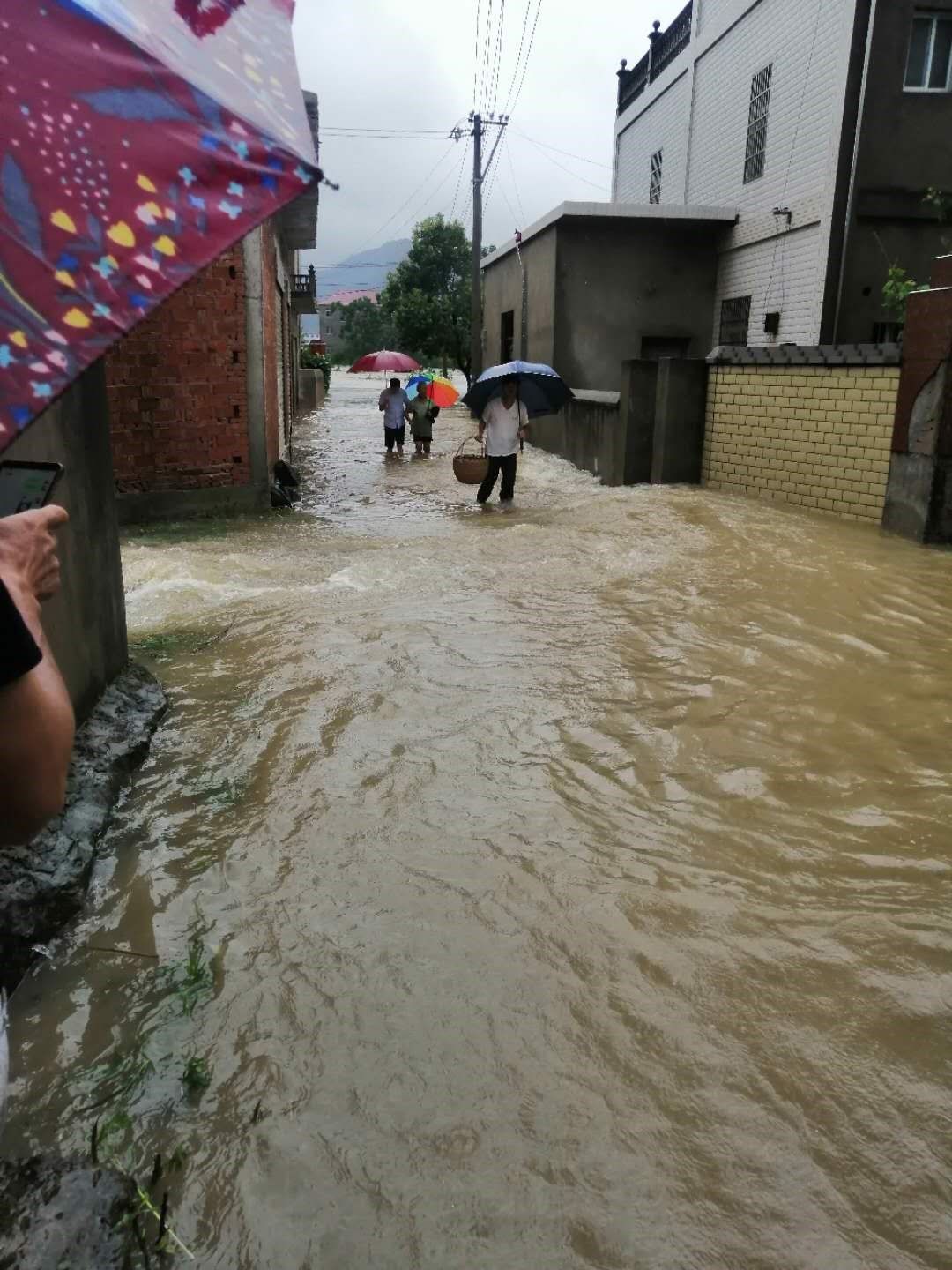 蔡嶺鎮:嚴陣以待 嚴密佈防 全力以赴打贏防汛救災攻堅戰_鄱湖都昌