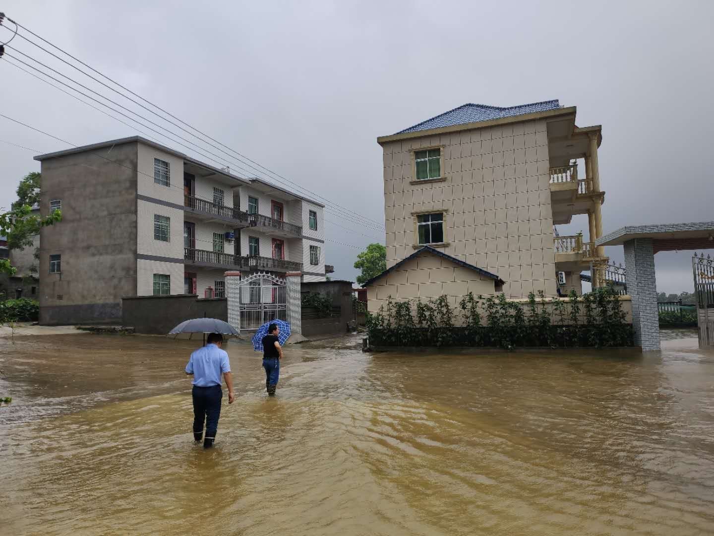 西源乡人大代表深入一线防洪救灾_鄱湖都昌