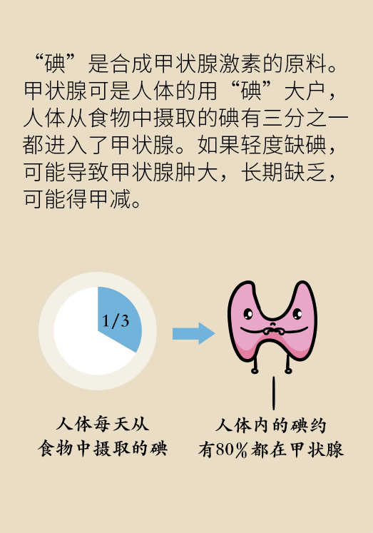 甲状腺疾病是吃出来的医生告诉你该补碘还是控碘