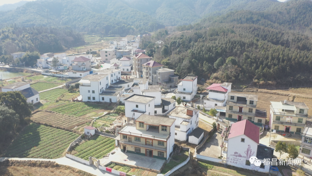 【新春走基层】徐埠镇李家炉村:生态宜居美如画