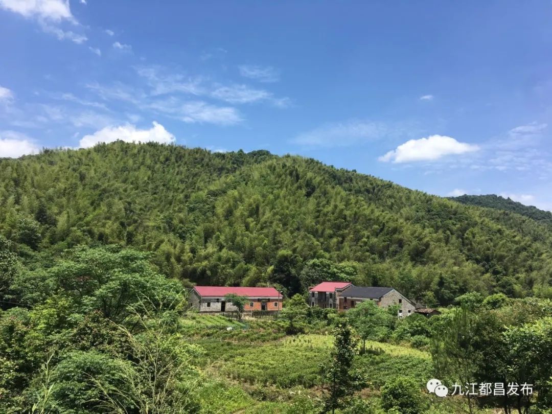 家训扬新风之224/蔡岭镇上,下冲石村:望晓源里的红与绿(五)_鄱湖都昌