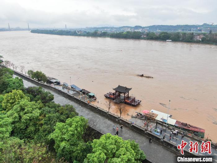 图为今年3月赣江上游贡江江西赣州主城区段河流水位迅速上涨，湍急浑浊。(资料图) 刘力鑫 摄 摄