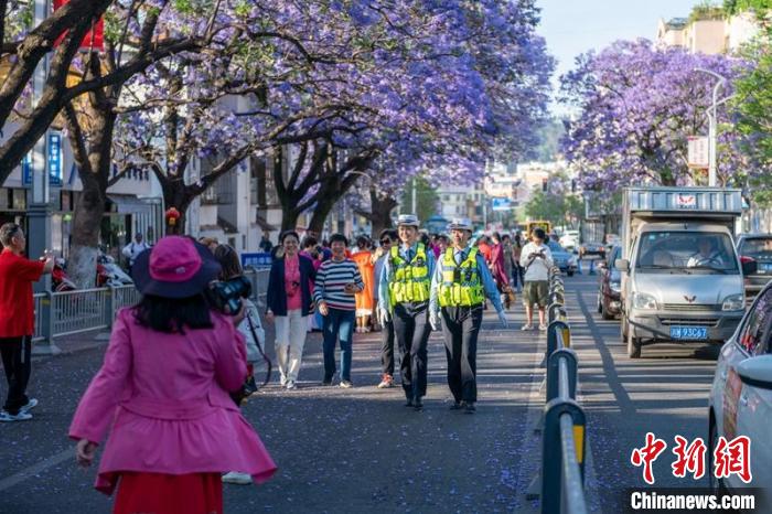 两名女警正在开放的蓝花楹路段徒步巡逻。　刘忠俊 摄