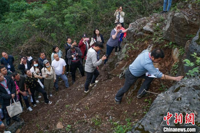 5月13日，中国地质古生物专家赴桂林市象山区红光村泥盆纪F/F界线剖面进行野外地质实地考察。　蒋丰慧 摄