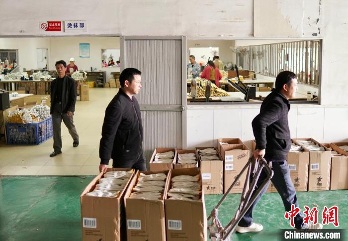 图为江西吉安市安福县永联昌盛劳保制品有限公司的生产车间。 王南山 摄 图为江西吉安市安福县永联昌盛劳保制品有限公司的生产车间。 王南山 摄