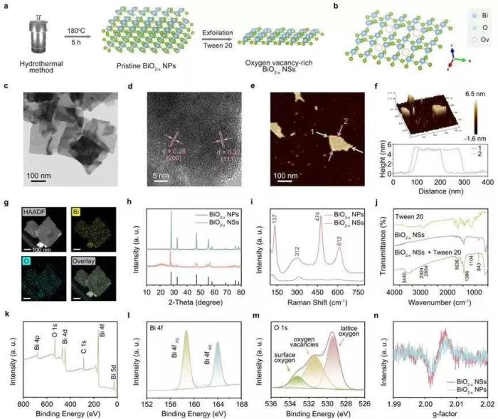 BiO₂₋ₓ纳米片形貌、晶体结构和化学组成 哈工程提供