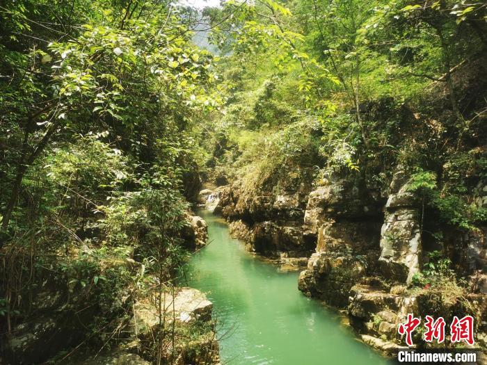 石门台保护区的一条小溪 程景伟 摄