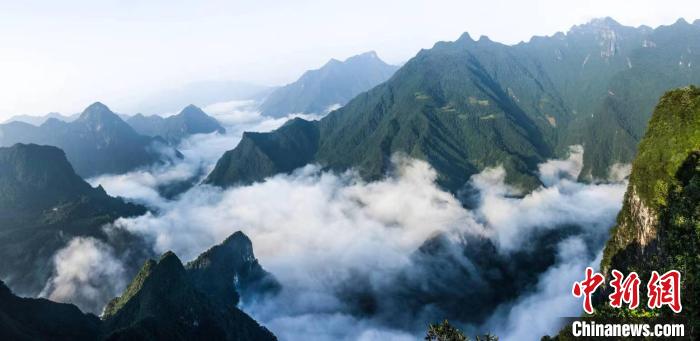 后河国家级自然保护区地处湖北武陵山区(资料图) 后河保护区管理局 供图