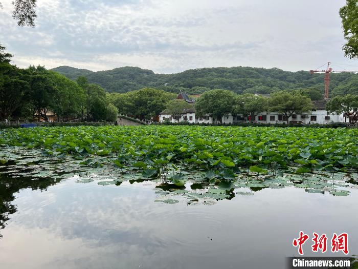 余阳洋拍摄的舟山乡村一景。　余阳洋 摄