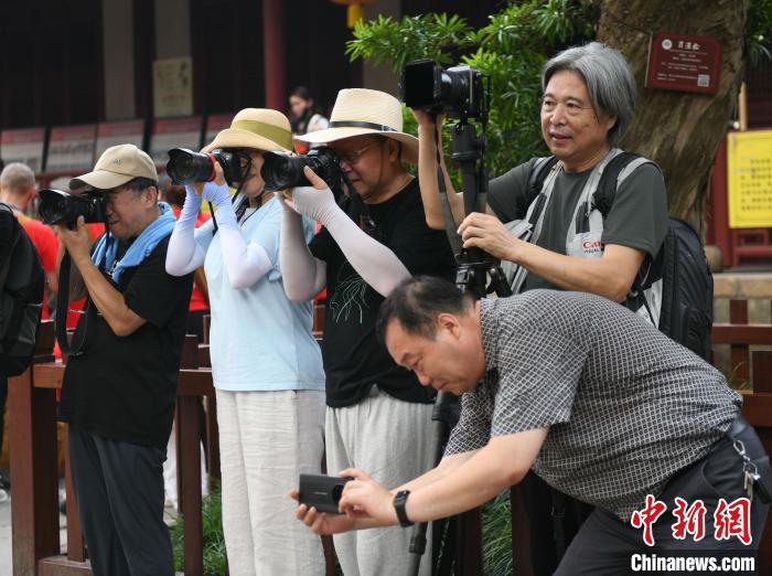 采风团走进舟山拍摄。　王刚 摄