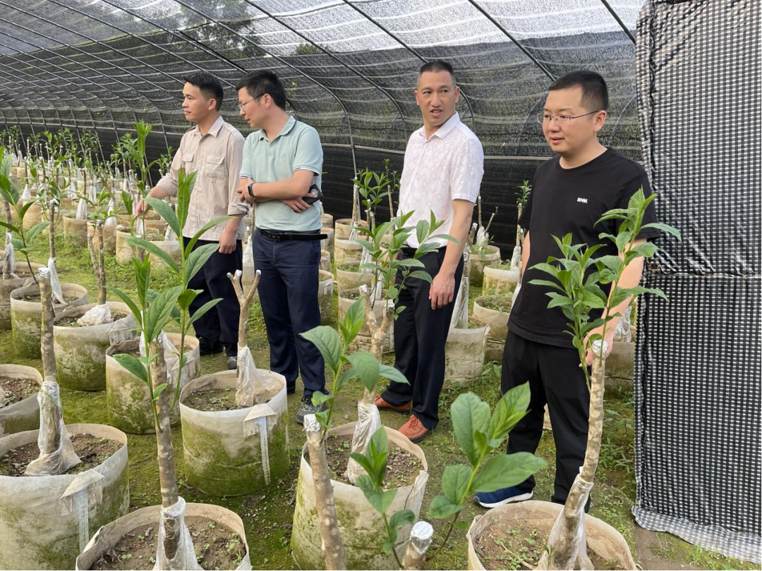 寻乌县桂竹帽镇上坪村图片