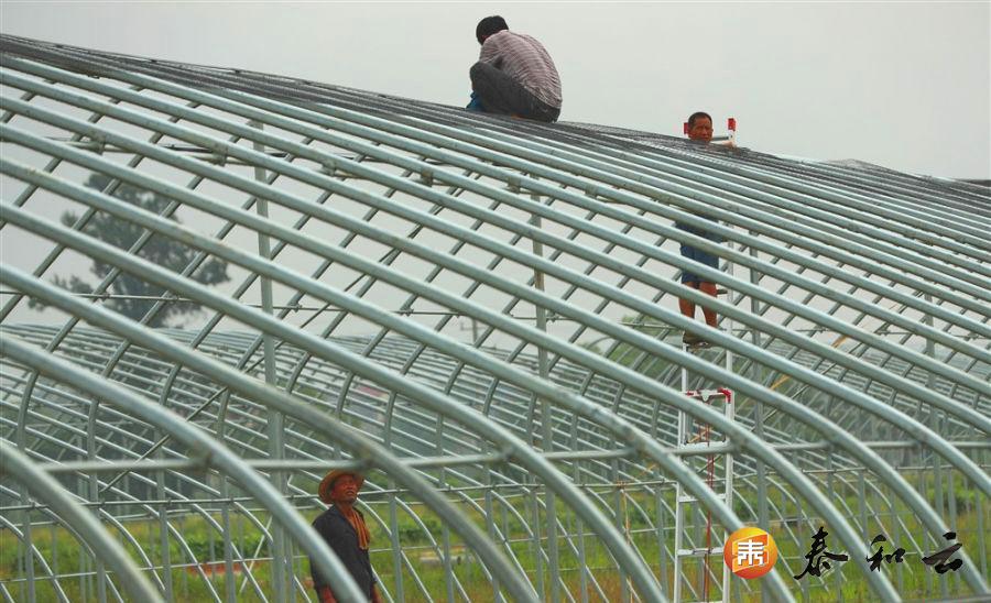 现代农业助力脱贫攻坚