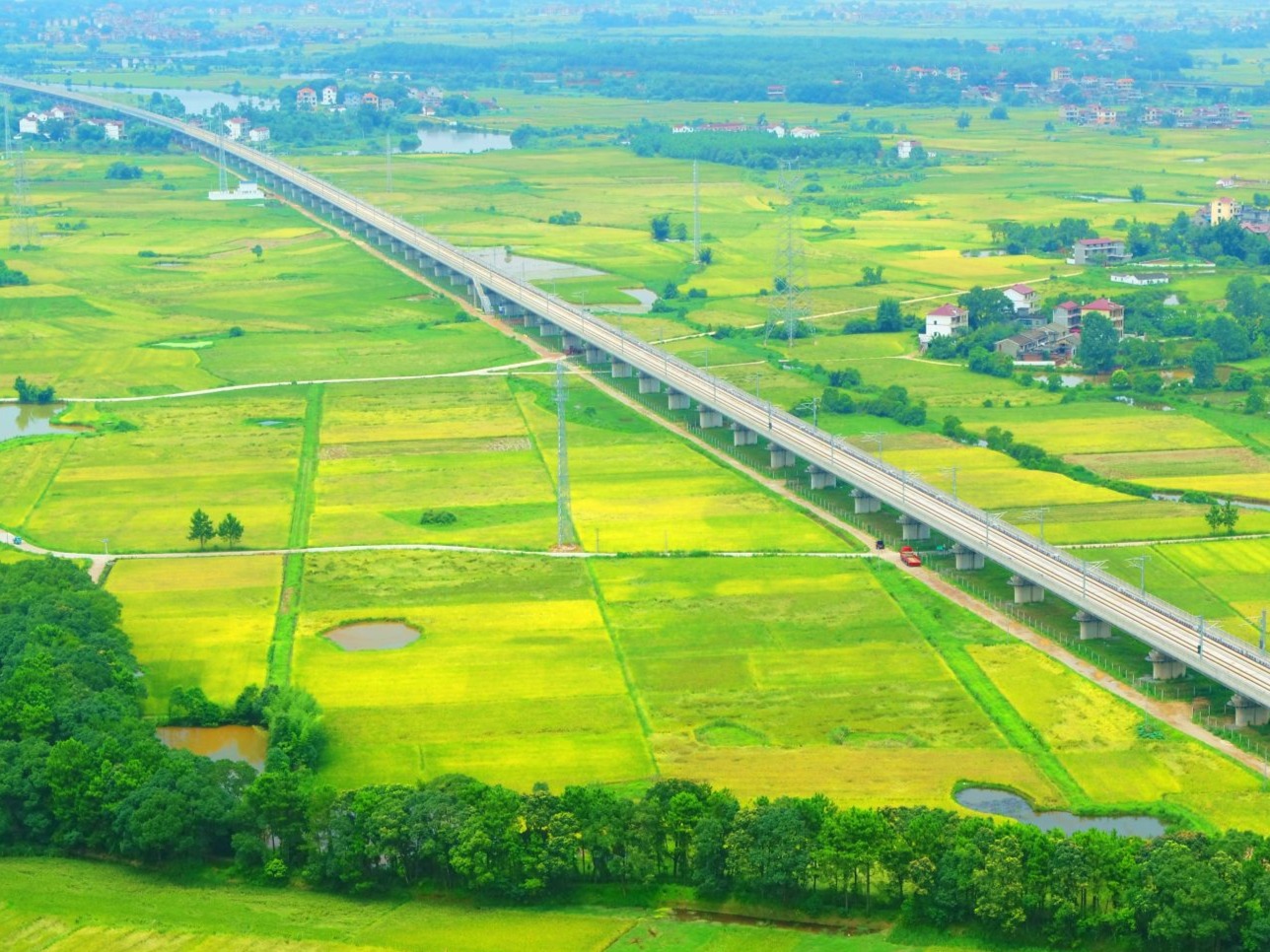 塘洲镇：夏日田园风景如画