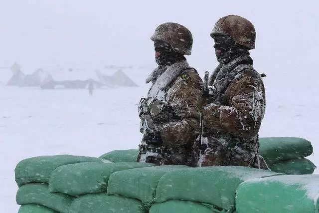 图为雪域高原上"最不怕冷的哨兵.