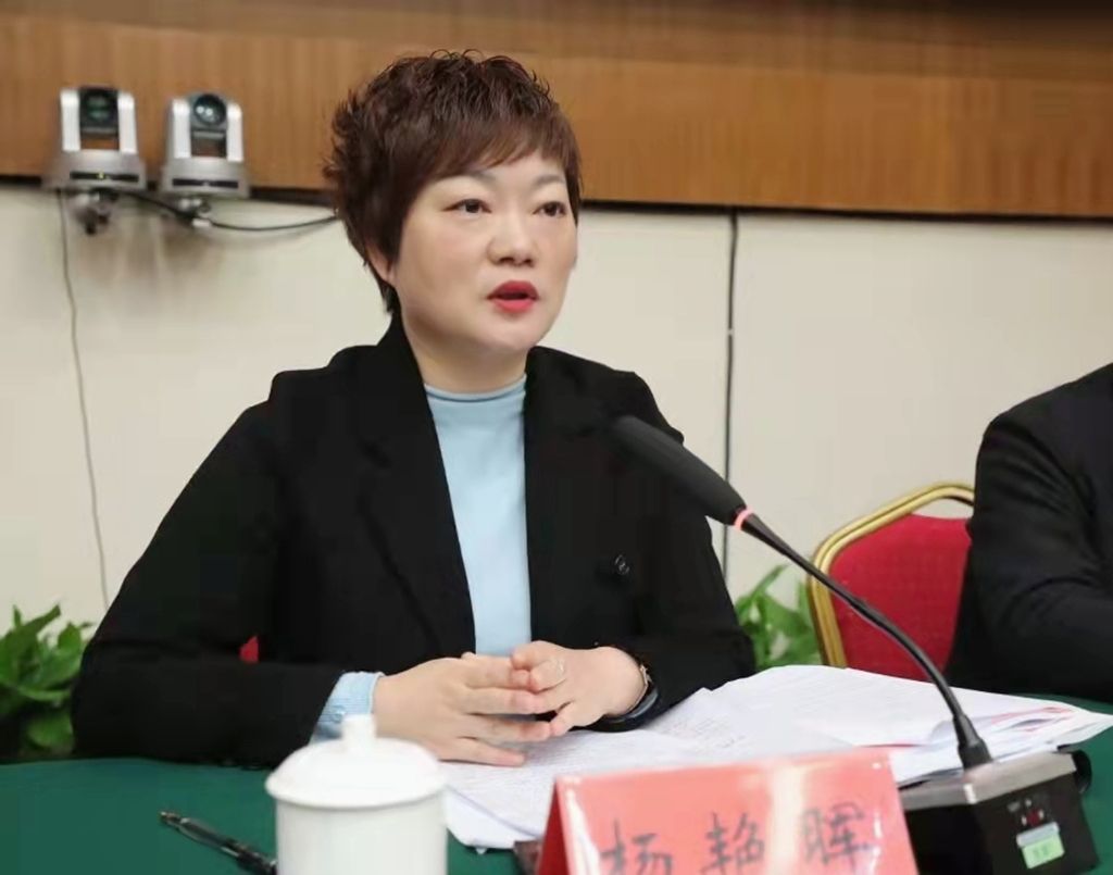 常务副县长罗克帅,副县长高月,肖红,罗军,葛英才,廖欣,彭瑛琪出席