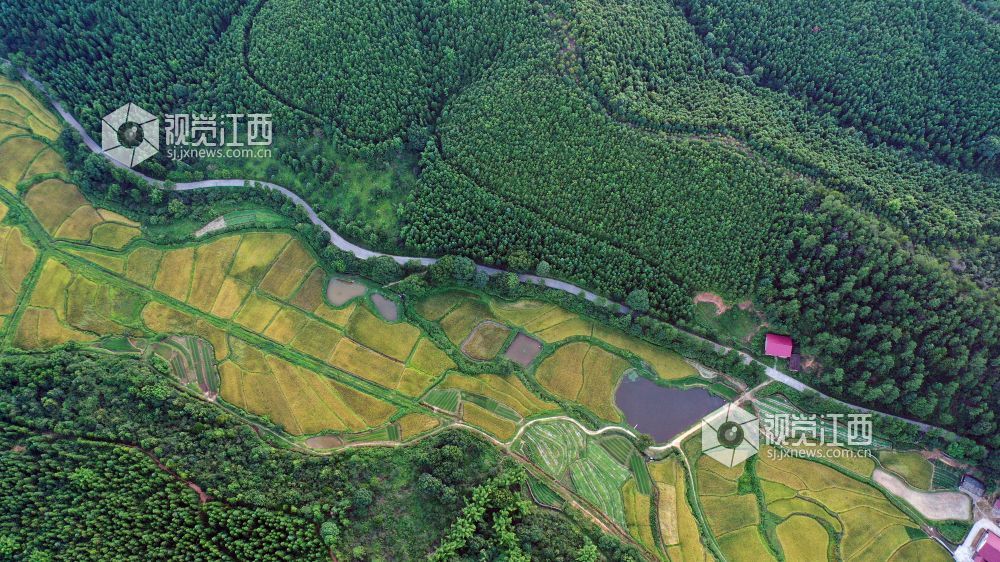 江西泰和：四好农村公路助推乡村振兴