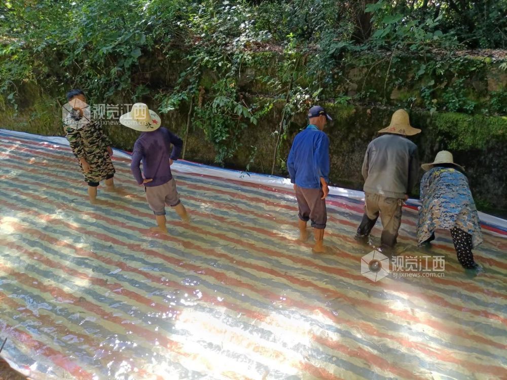 江西泰和：全力抗旱保丰收
