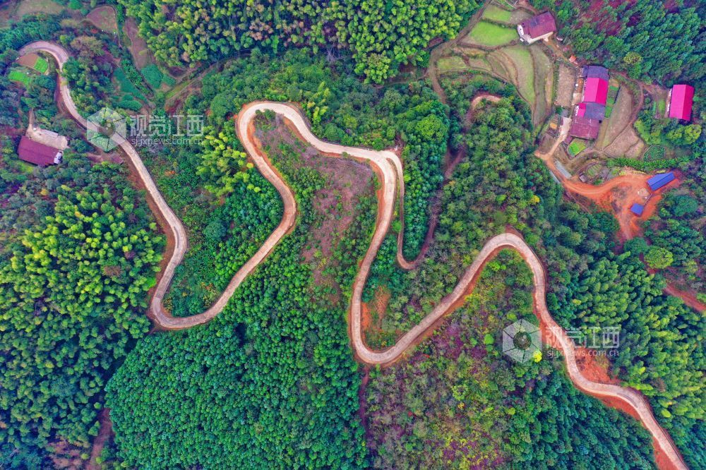 江西泰和：山路弯弯铺就乡村振兴路