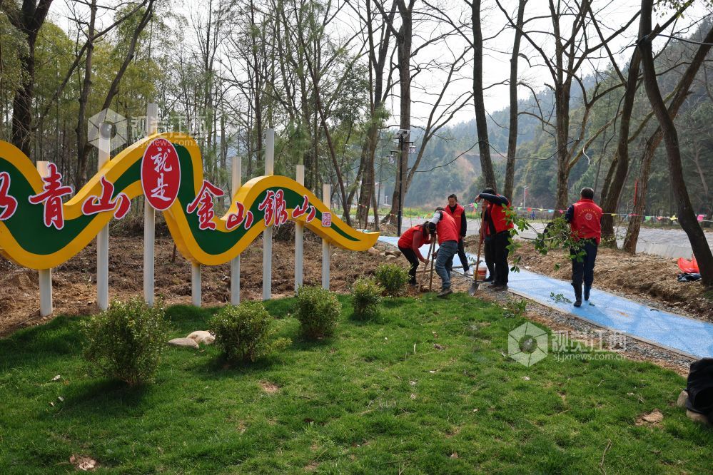 江西泰和：不负春光植树忙