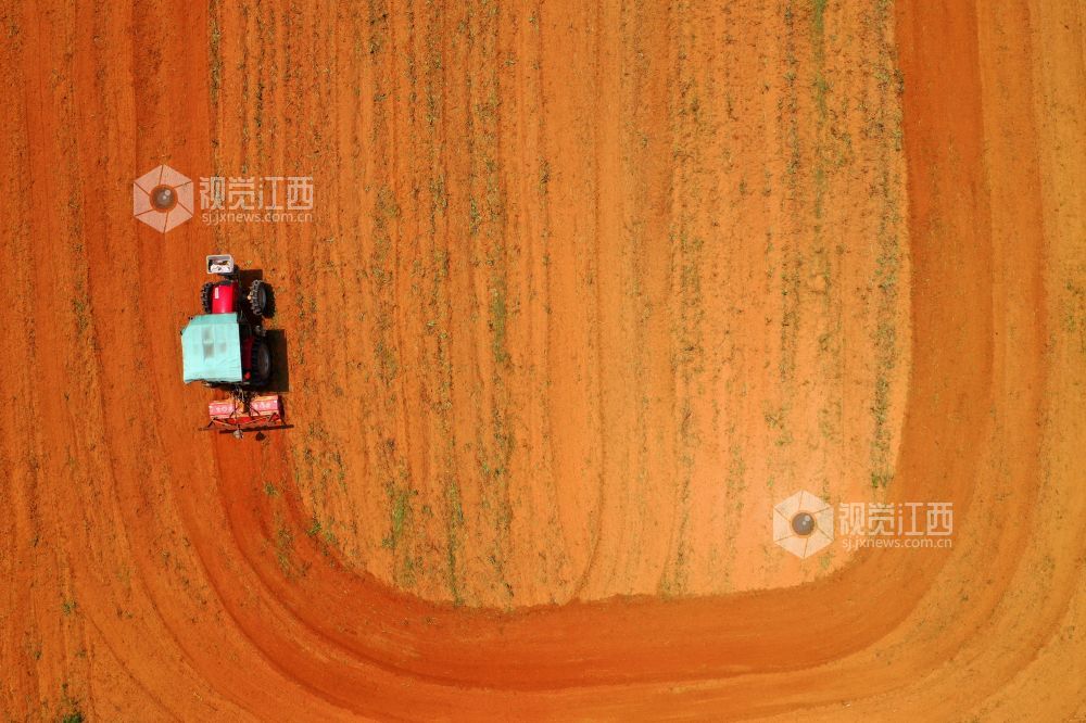 江西泰和：机声隆隆夏耕忙