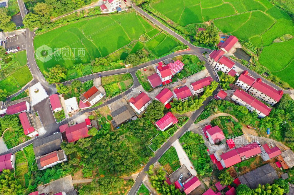 江西泰和：四好农村路助力乡村振兴