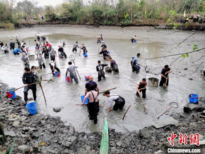 图为杭州西溪干塘节现场 梅柏林 摄