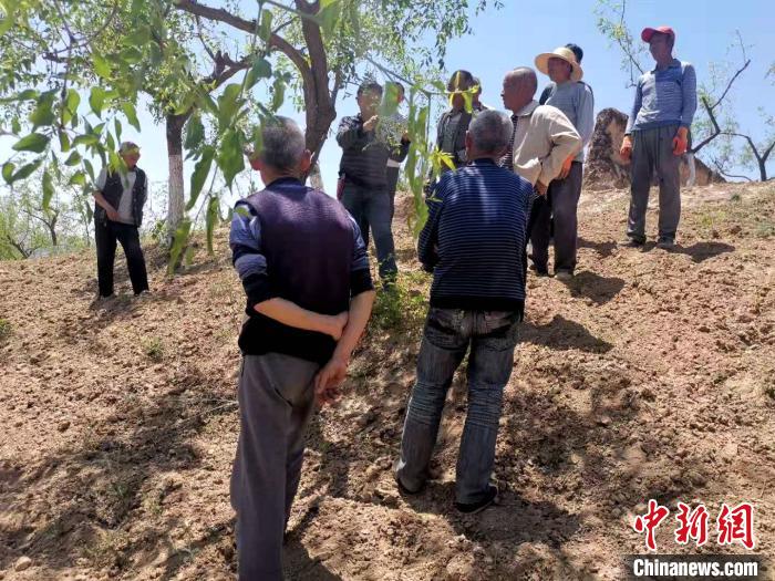 村民学习枣树种植。张福荣供图