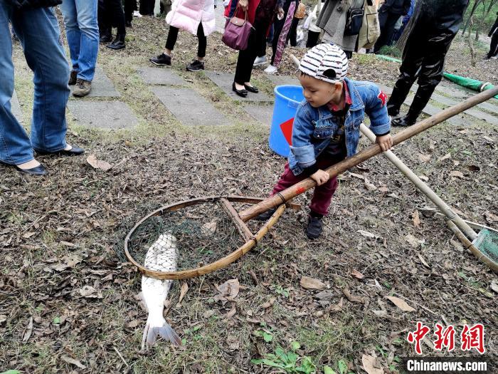 图为杭州西溪干塘节现场 梅柏林 摄