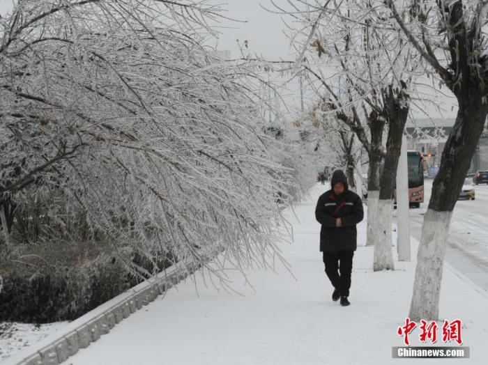 11月19日，吉林省长春市遭遇罕见冻雨天气，整座城市披上“冰装”。
中新社记者 刘栋 摄