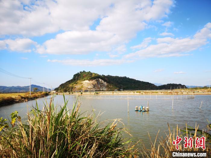 浙江海塘一景。　张煜欢 摄