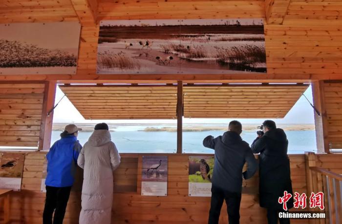 图为12月8日，保护区工作人员在高处观测湿地中的鸟类。
中新社记者 赵晓 摄