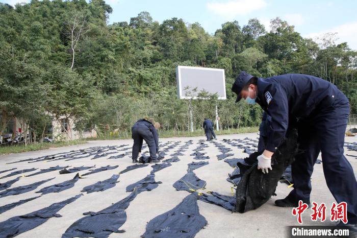 图为民警查获的鳄鱼皮。　王威 摄